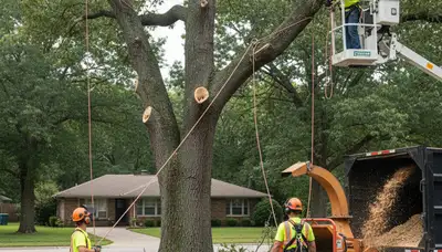 Emergency tree service crew clearing storm damage in Omaha, NE