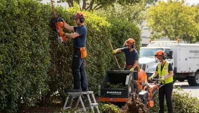 Omaha, NE tree service removing overgrown shrubs for a cleaner yard