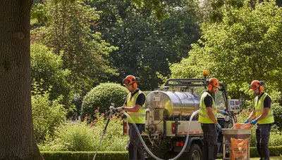 Tree fertilizing service in Omaha, NE to support healthier, stronger trees
