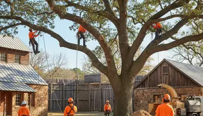 Tree service crew in Omaha, NE removing a tree for safe residential property care